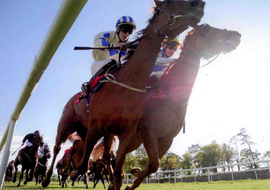 QUEEN OF THE SAND - winning at Gowran Park 30th May.